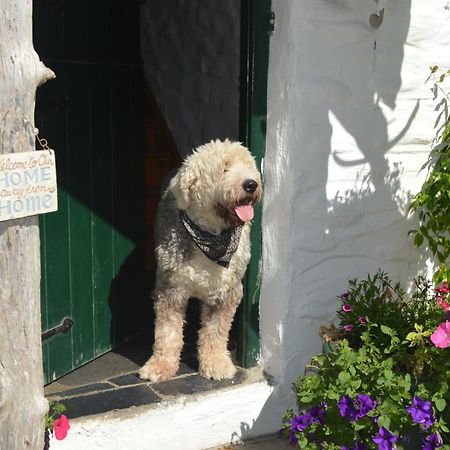 Lissyclearig Thatched Cottage Kenmare Ngoại thất bức ảnh