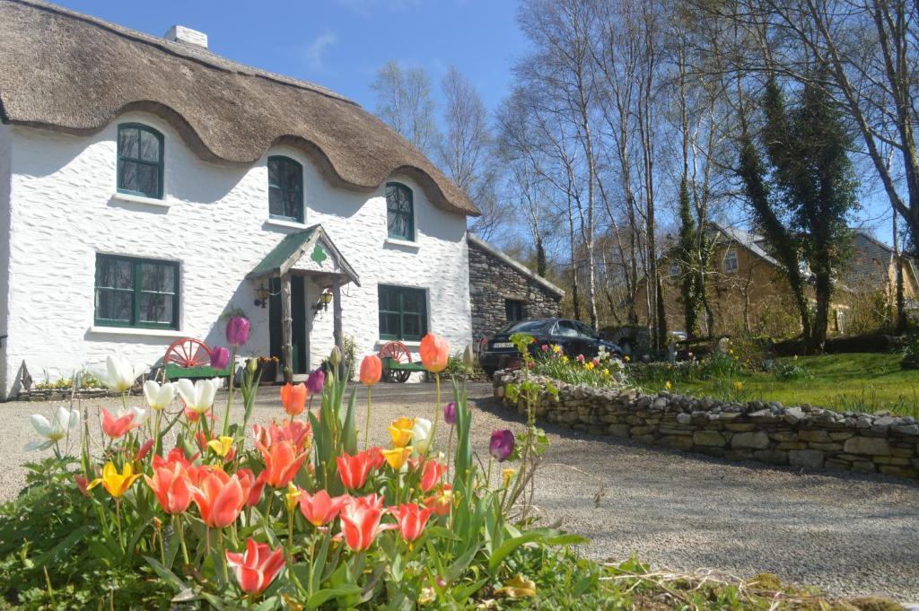 Lissyclearig Thatched Cottage Kenmare Ngoại thất bức ảnh