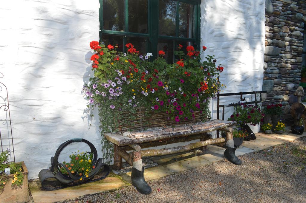Lissyclearig Thatched Cottage Kenmare Ngoại thất bức ảnh