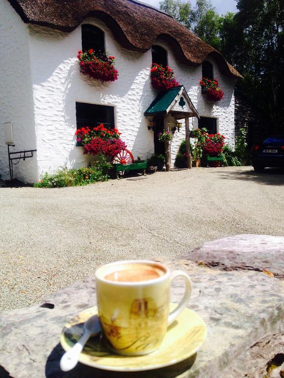 Lissyclearig Thatched Cottage Kenmare Ngoại thất bức ảnh